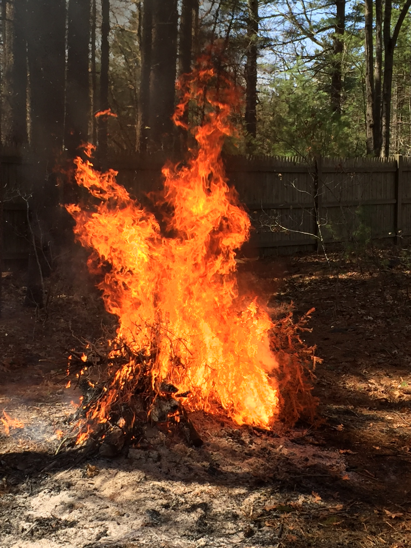 Open burning and clearing leaves Oelwein Iowa