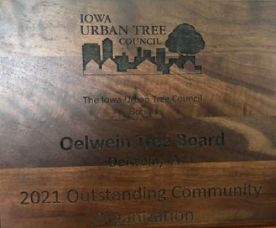 Tree Board Award