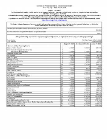 Fiscal Year 2025 Budget Public Hearing